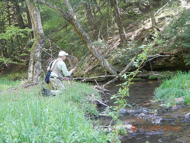 camp 05-17-13 010.jpg -                                